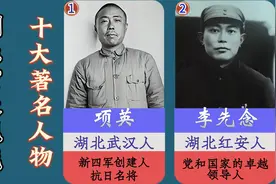 盘点湖南省近现代，十大著名人物视频封面