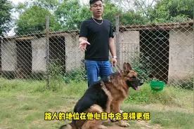正确打狗方法，再凶猛的狗都要注意几点视频封面