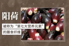 阳荷——被称为“第七大营养元素”的膳食纤维视频封面