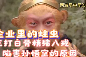 三打白骨精猪八戒为何要陷害孙悟空，企业里的世态炎凉视频封面