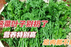 冬天，这菜的叶子是个宝，扔了太可惜，放锅里蒸一蒸，全家都爱吃视频封面