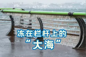 大连大风掀起巨浪，第一次看到大海被冻在栅栏上视频封面