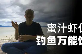 万能饵：蜜汁虾仁！适合钓淡水肉食性鱼类，也适合海钓视频封面