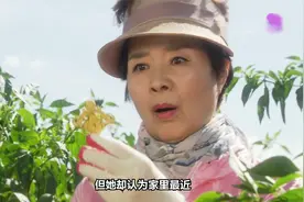 梦到摘辣椒是什么样的梦视频封面