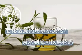 老花医不让花友用茶水浇花，反而自己却用茶水？茶水可以浇花吗？视频封面
