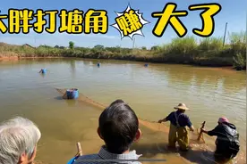广东大胖家的2亩鱼塘，放养了2年第一次干鱼塘，看看都有什么鱼视频封面