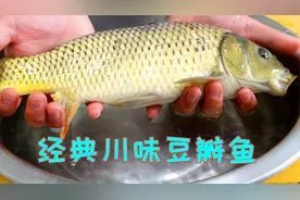 川菜把豆瓣酱用到了极致，这道豆瓣鱼就是代表，鲜嫩无腥味特好吃