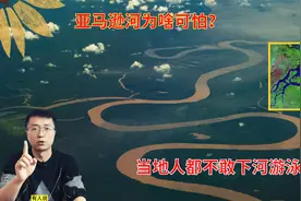 长江和亚马逊河哪个更厉害？为什么说亚马逊河可怕，没人敢游泳？视频封面