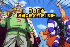 御田为了出海跟白胡子撒娇 最后捡了个老婆 还获得了白胡子的认可