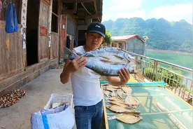 小伙晒鱼干了，分享不招苍蝇不长蛆的绝招，这是湖南人的下酒硬菜