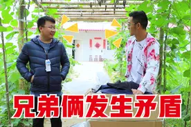 兄弟俩试穿新衣服发生矛盾，弟弟向哥哥吐槽心里话，两个人互怼视频封面