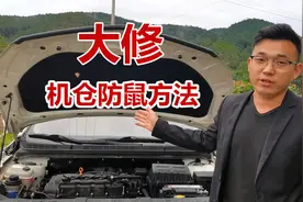 老鼠进入汽车发动机仓导致大修，3个实用技巧让老鼠不敢靠近汽车视频封面