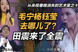 司马南：毛宁杨钰莹去哪儿了？田震来了全震—春晚消失的艺术家十视频封面