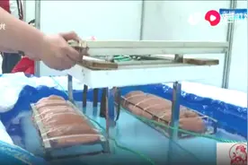 山东青少年科创大赛开幕，是山东省规模最大的青少年竞赛活动视频封面