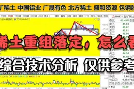中国铝业 五矿稀土重组落定 北方稀土 盛和资源 包钢广晟怎么看？
