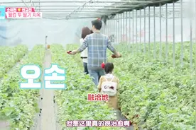 印乔镇苏怡贤带女儿摘草莓超治愈，满满的快乐回忆让人羡慕视频封面