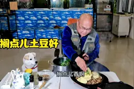 农村金山：用电饼铛烤肉吃，再搁点儿土豆挺好，就不用吃主食了视频封面
