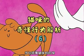 被抚摸会翘屁股？抓小猫后脖颈会僵住？经常叼奇怪的东西给你？