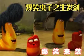 爆笑虫子之生发剂视频封面