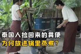 泰国的大象粪便，为什么捡回来蒸煮？他们有什么目的？视频封面