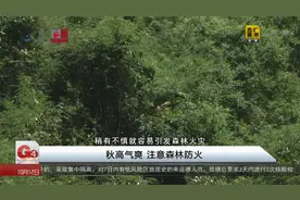 秋高气爽 注意森林防火视频封面