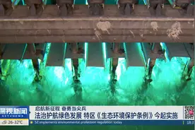 《深圳经济特区生态环境保护条例》今起实施视频封面