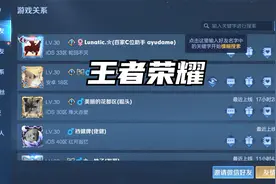 王者允许别人加好友怎么设置