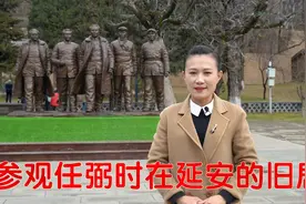 任弼时英年早逝，他的儿子是我军大校，也同样英年早逝视频封面