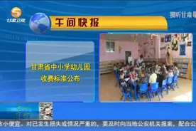 甘肃省中小学幼儿园收费标准公布视频封面