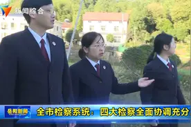 岳阳市检察系统：四大检察全面协调充分发展视频封面
