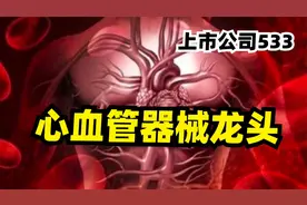 严重超跌！乐普医疗，心血管器械龙头，依然优秀，下一个迈瑞医疗视频封面