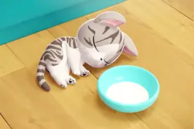 甜甜私房猫：小猫玩累了，喝了一口牛奶，躺在地上就睡着啦