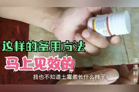 养孔雀鱼备用土霉素，是要这样做才能做到有备无患，一分钟见效。视频封面