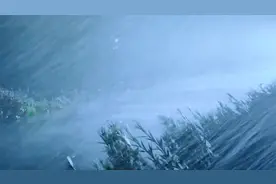 馬路邊的狂風暴雨 放鬆 助眠 冥想 愉悅 雷聲 雨聲视频封面