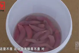 鲁菜中的海肠原来长这样！一起去烟台海边挖海肠！视频封面