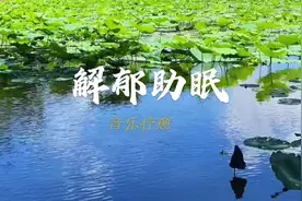 音疗|《出水莲》疏肝理气 静心安神 解郁肋眠，五行五脏养生音乐
