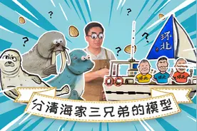 海豹、海狮、海象，你能分清吗？戳视频，模型带你摆脱脸盲！视频封面