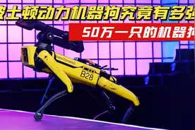 50万一只机器狗！波士顿动力机器狗究竟有多厉害？视频封面