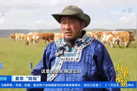 内蒙古：阿鲁科尔沁草原游牧系统开启夏季“转场”|第一时间视频封面