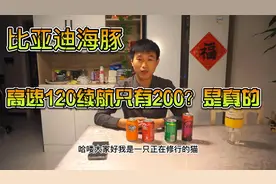比亚迪海豚高速120，实际续航只有200？是真的！@小胡说车视频封面