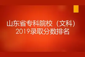 山东专科院校（文科）2019录取分数排名