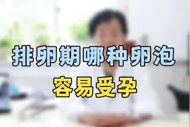 怎样的卵泡容易受孕？专家提醒：符合这几个条件，一次就容易中视频封面