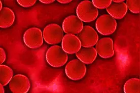 高中生物必修一重点知识导入12：细胞膜