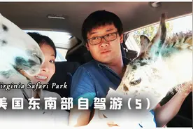 【Travel Vlog】弗吉尼亚野生动物园 | 美国东南部自驾游ep.5视频封面