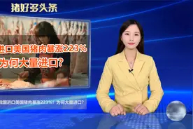 我国进口美国猪肉暴涨223%！为何大量进口？原因有三！视频封面