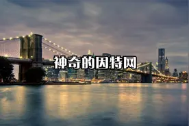 神奇的因特网视频封面