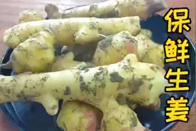 生姜能吃1年？饭店大厨教我一招，一年只买一次，全年都吃新鲜的