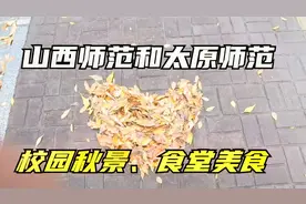 小伙从山西师范大学出来进了太原师范学院，校园风景真美视频封面