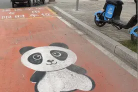 商丘出现“熊猫车位”！非接送学生车辆不得占用，违者处罚视频封面