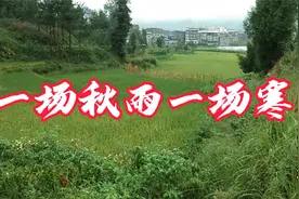 秋雨绵绵，情亦缠绵，一曲《一场秋雨一场寒》唱得凄美伤感，好听视频封面